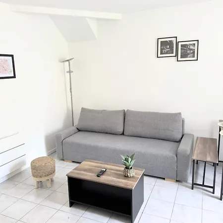 Au Fil De La Marne A 15mn Et 25mn Paris Appartement